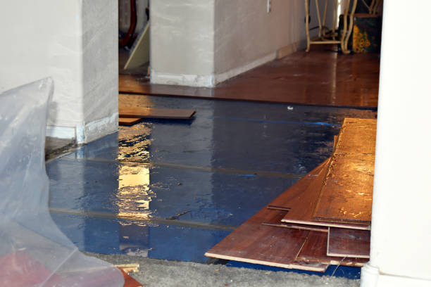 Professional Emergency Water Damage Restoration technician working in Midway, FL
